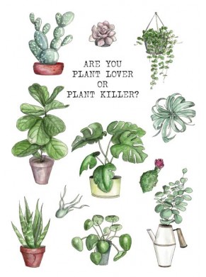 PLAKAT „ARE YOU PLANT LOVER OR...