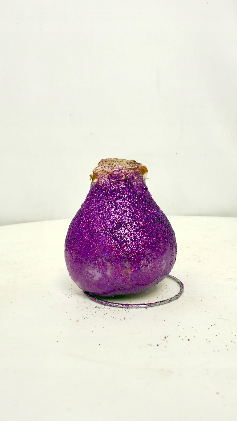 Amarylis w brokatowym wosku (fiolet)