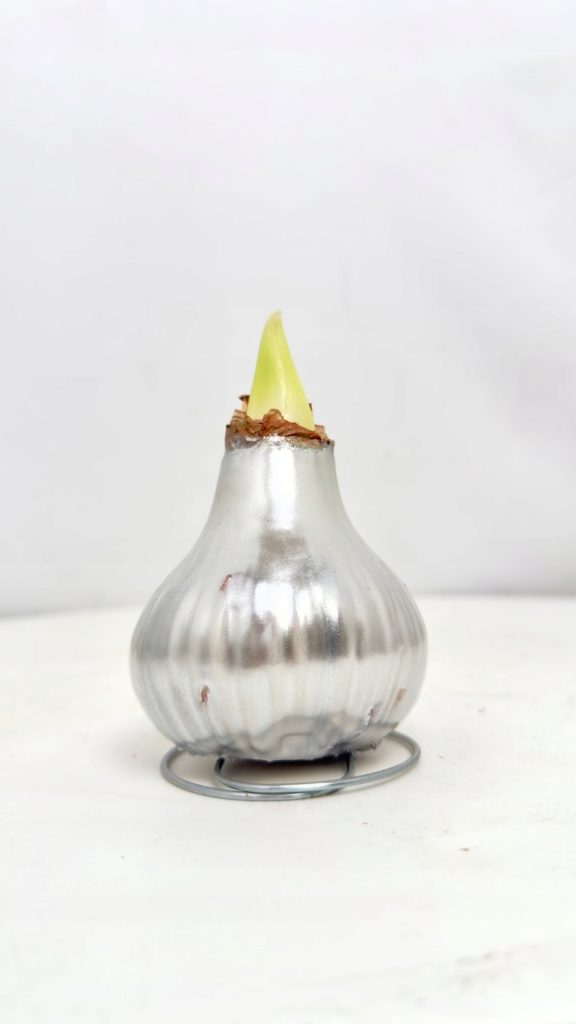 faa953a9adbcf958b84d3c5ef73be390