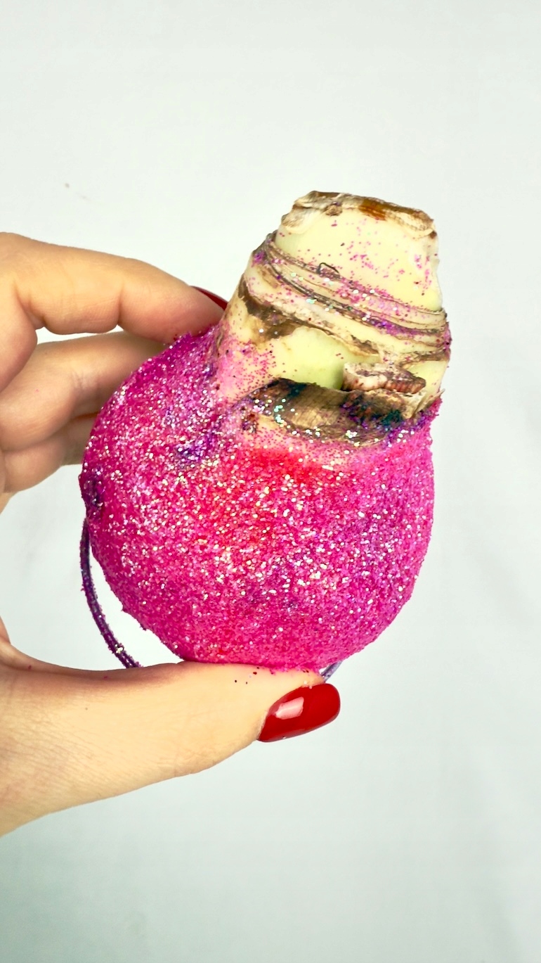 Amarylis w brokatowym wosku (róż)