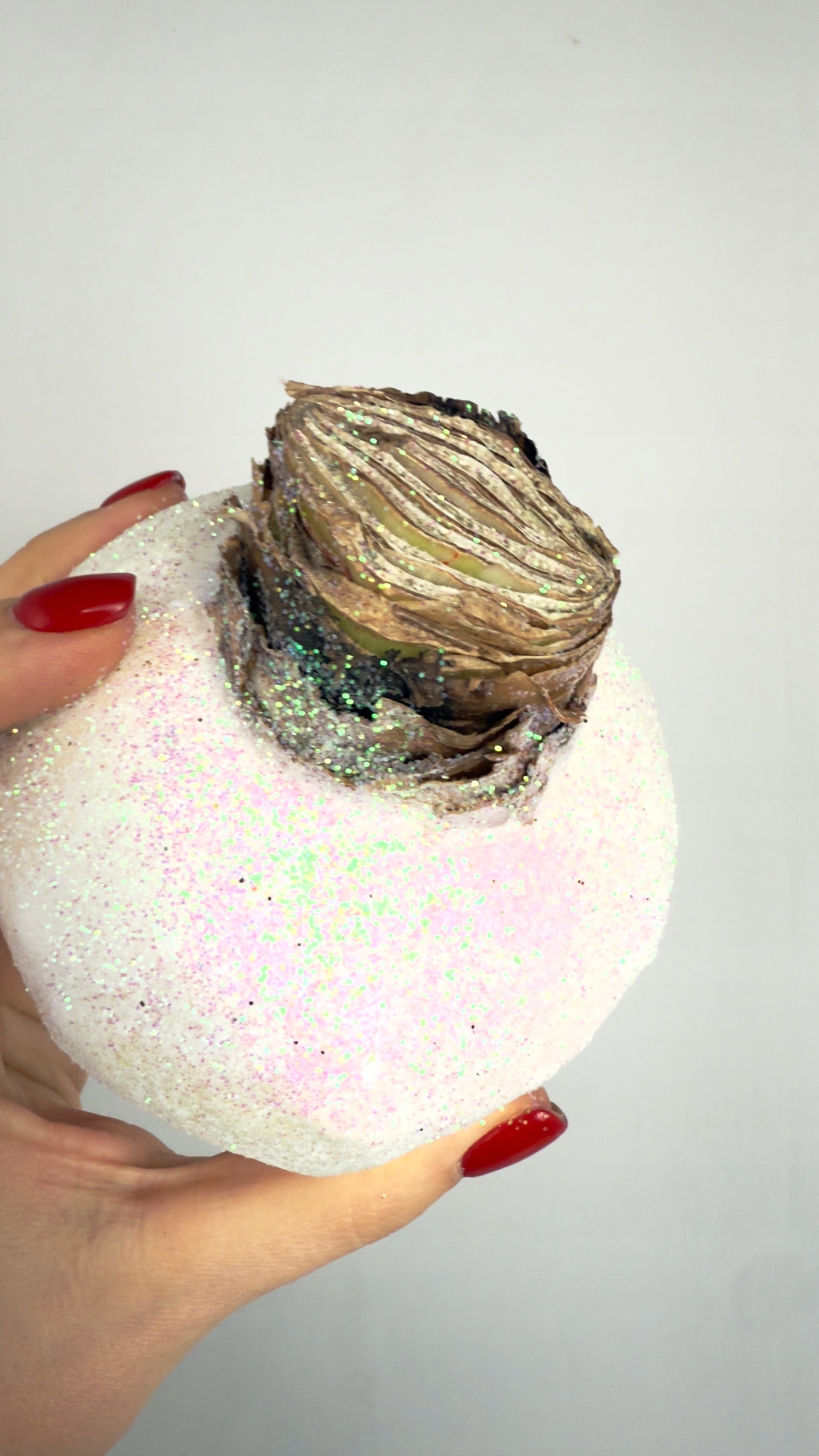 Amarylis w brokatowym wosku (biel)