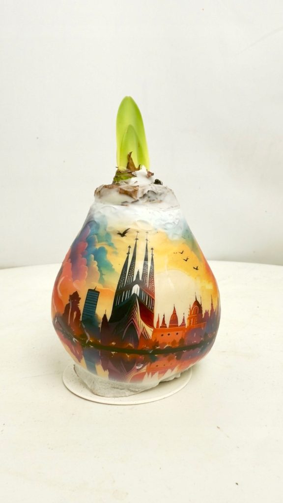 amarylis z grafika miasta Barcelona