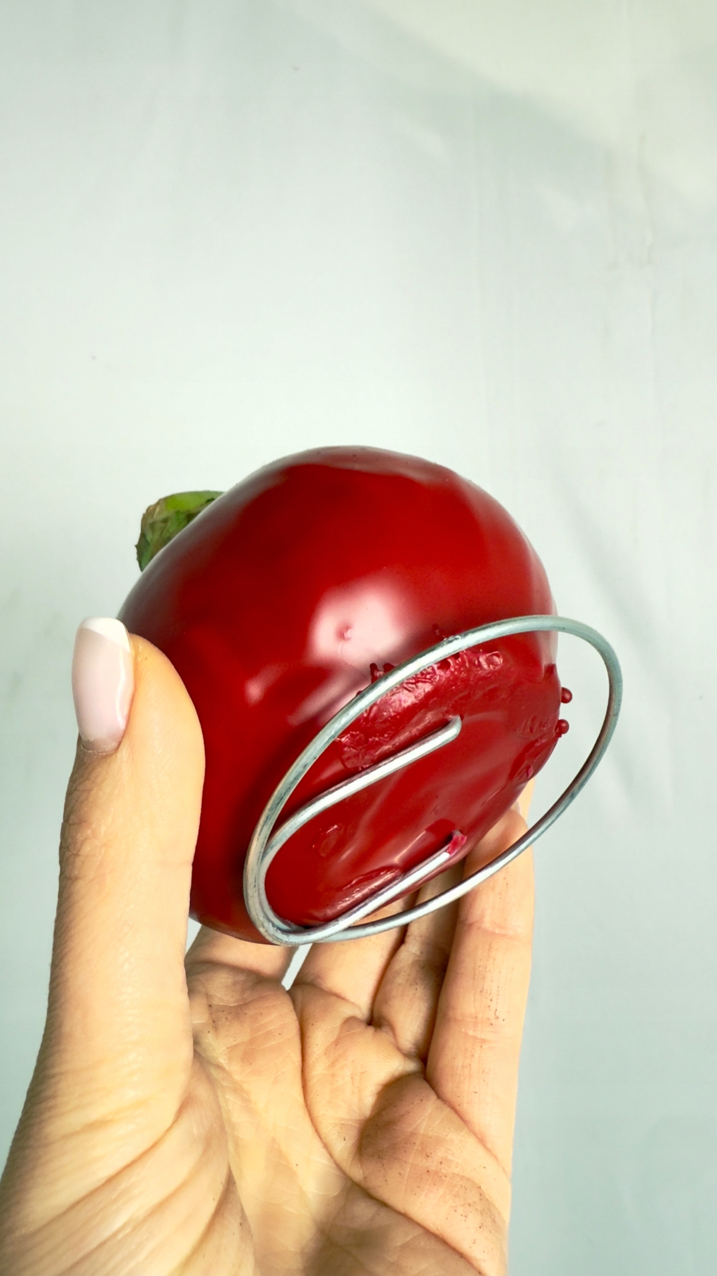 Amarylis w czerwonej oprawie