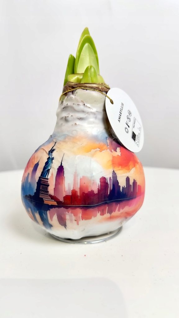 amarylis w wosku z wizerunkiem statusy wolności