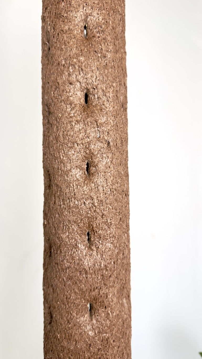 Kratiste palik do pnączy 75 cm Ø6 cm