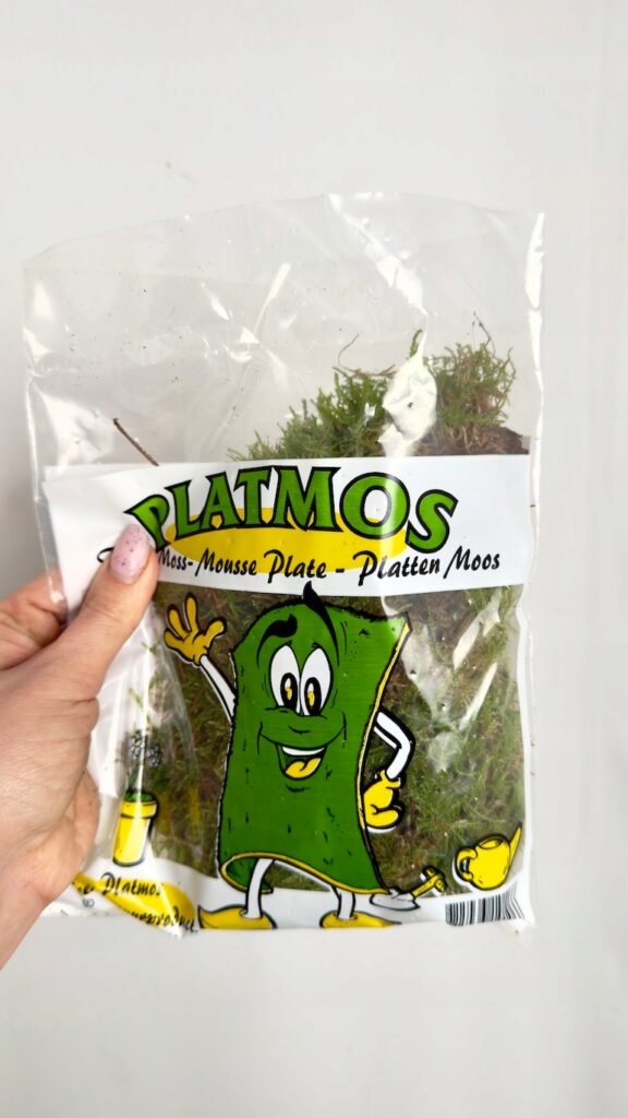 Mech płaski naturalny świeży mech leśny do terrarium i dekoracji wnętrz