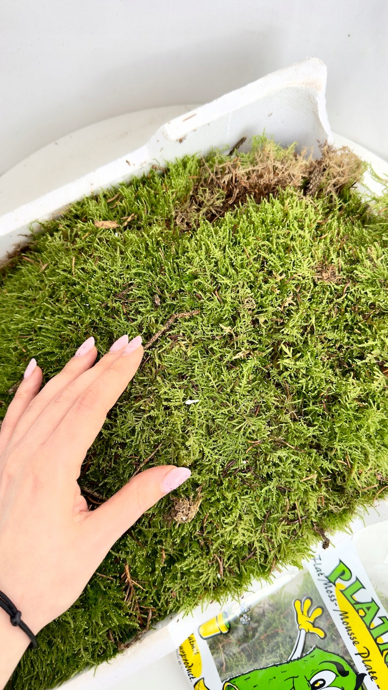 Mech płaski PLATMOS naturalny 2,5 kg