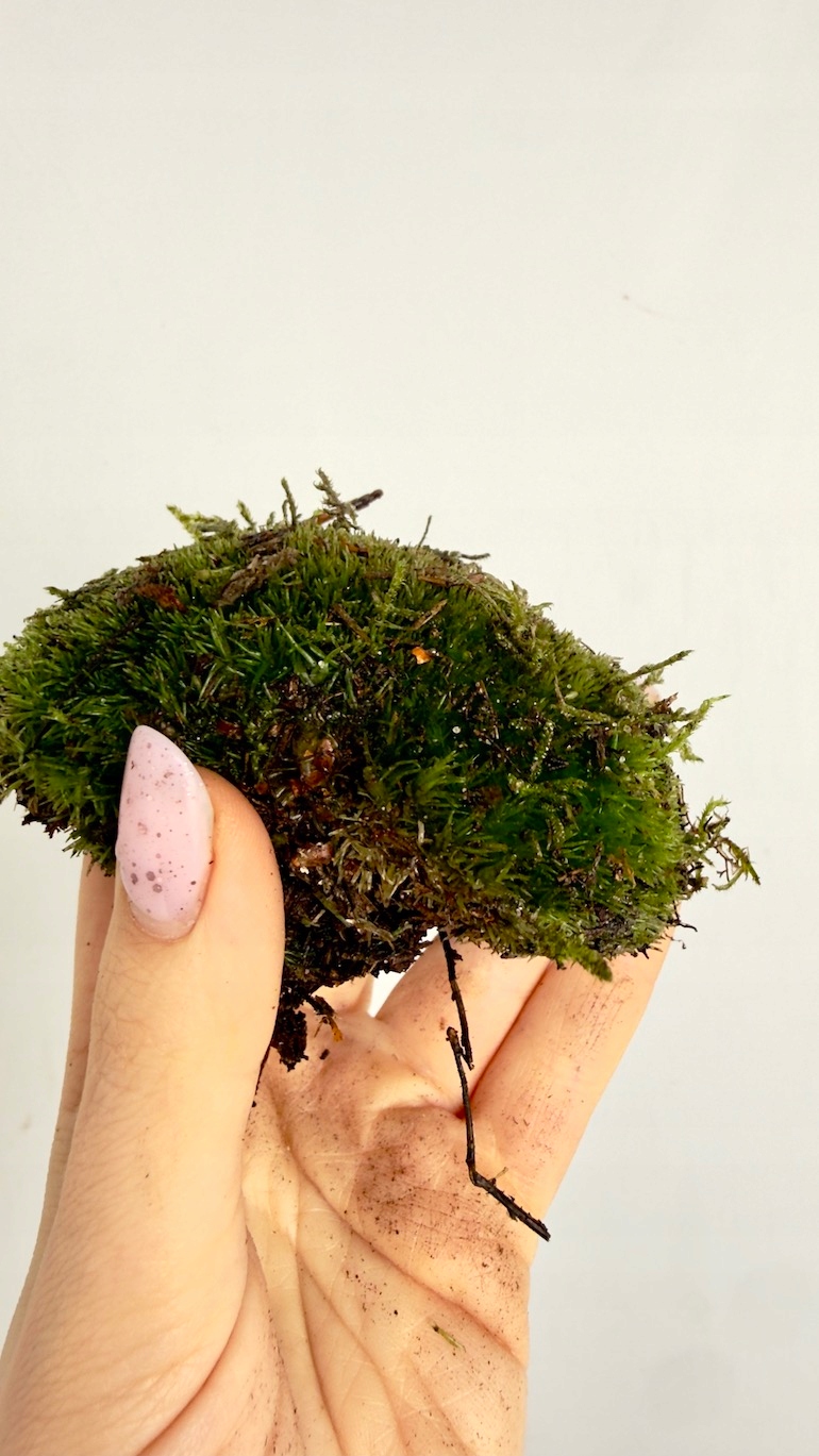 Mech poduszkowy 1 kg