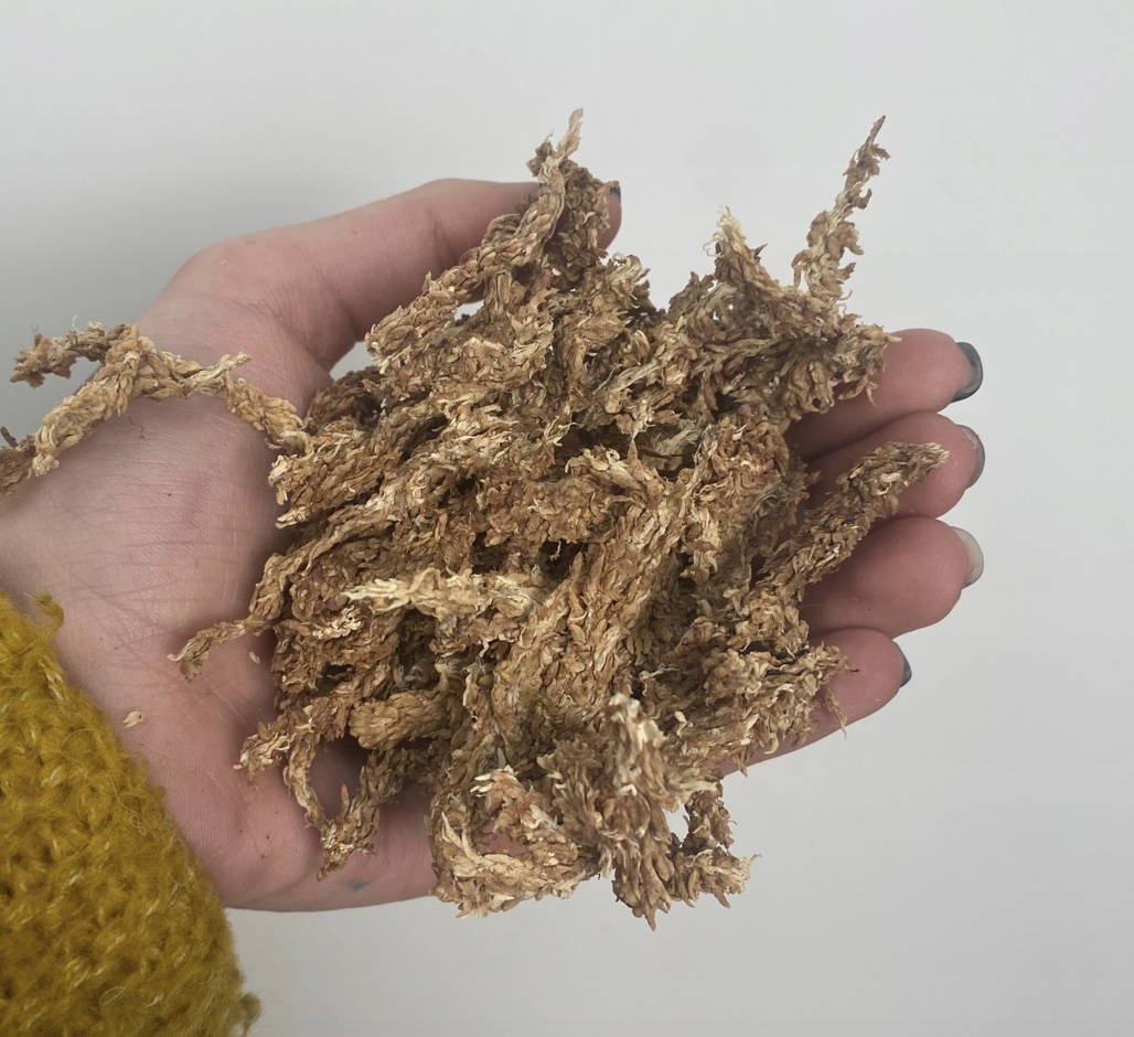 Mech torfowiec Sphagnum 200g