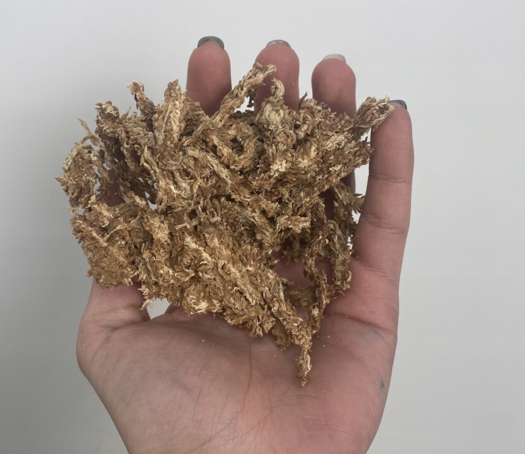 Mech torfowiec Sphagnum 200g