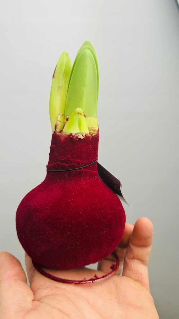 28b9aedefb30890688284847e9b6b502