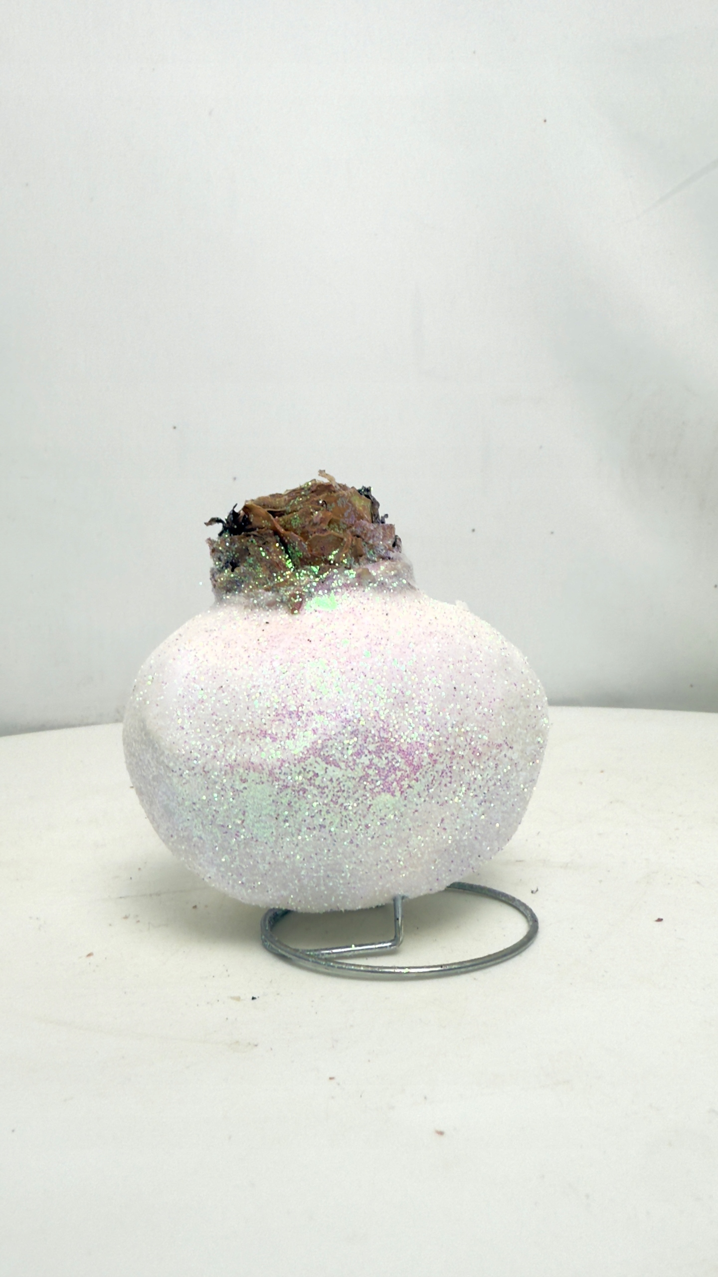 Amarylis w brokatowym wosku (biel)