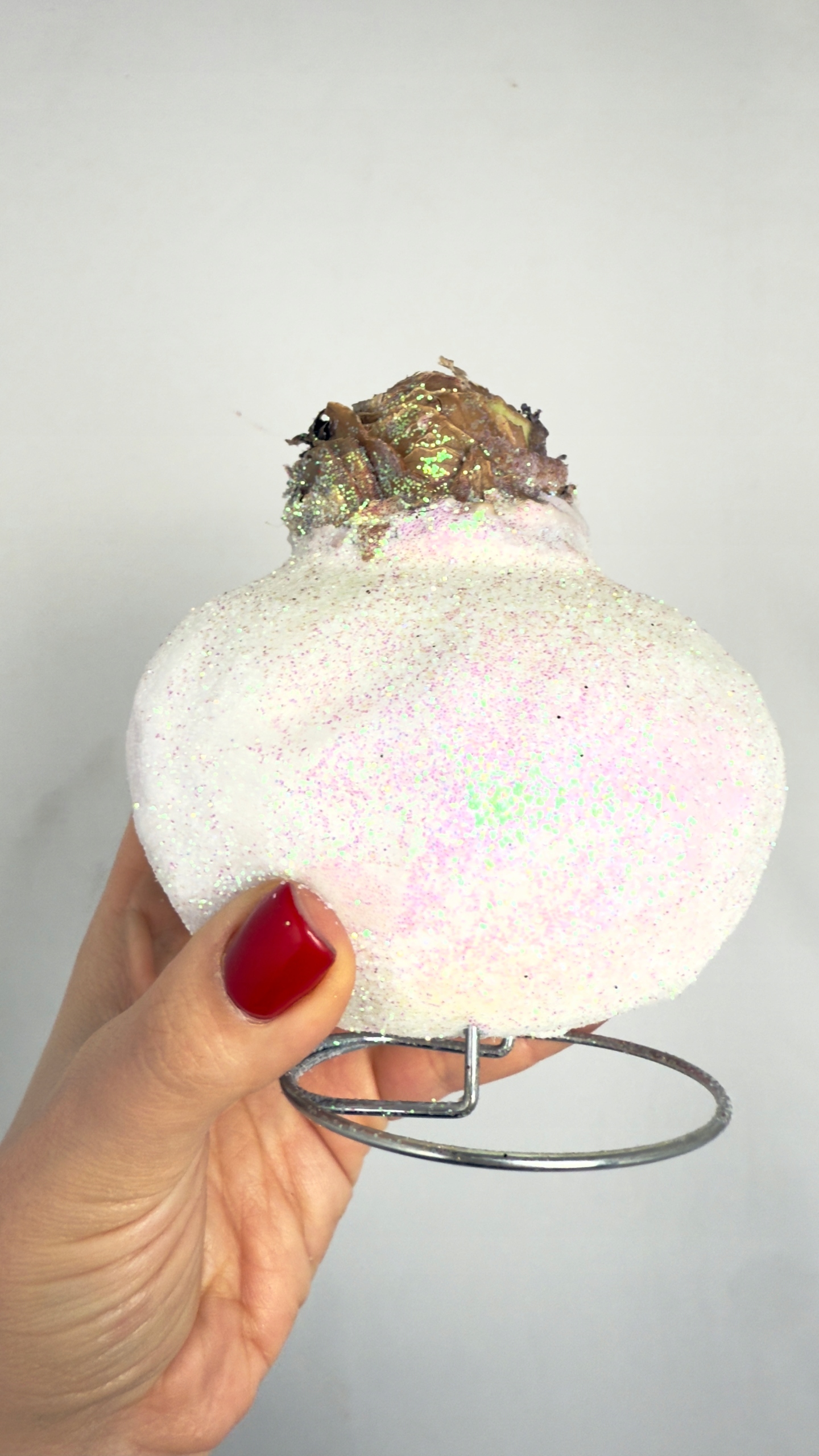 Amarylis w brokatowym wosku (biel)