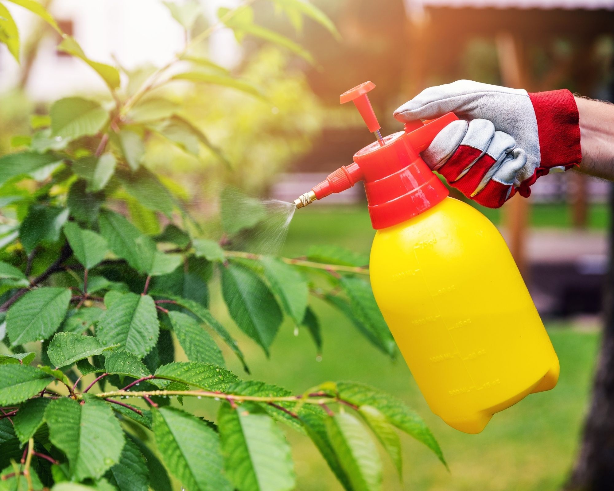 Contigol 95 EC 250ml Preparat wzmacniający
