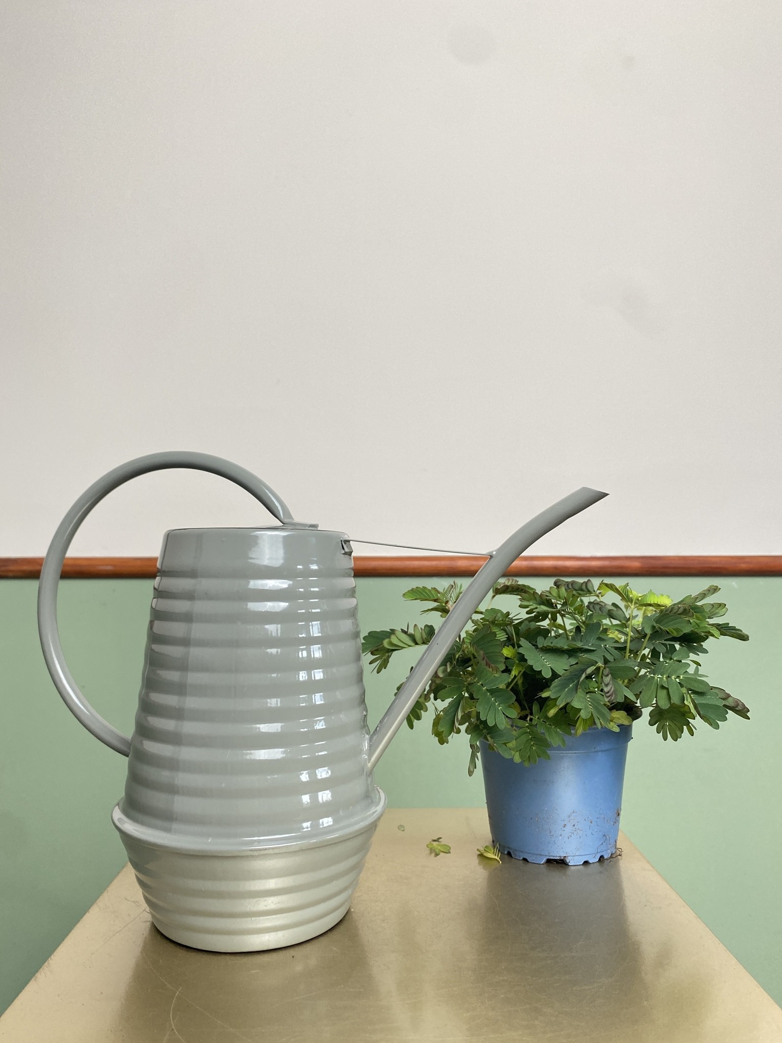 Konewka metalowa szara