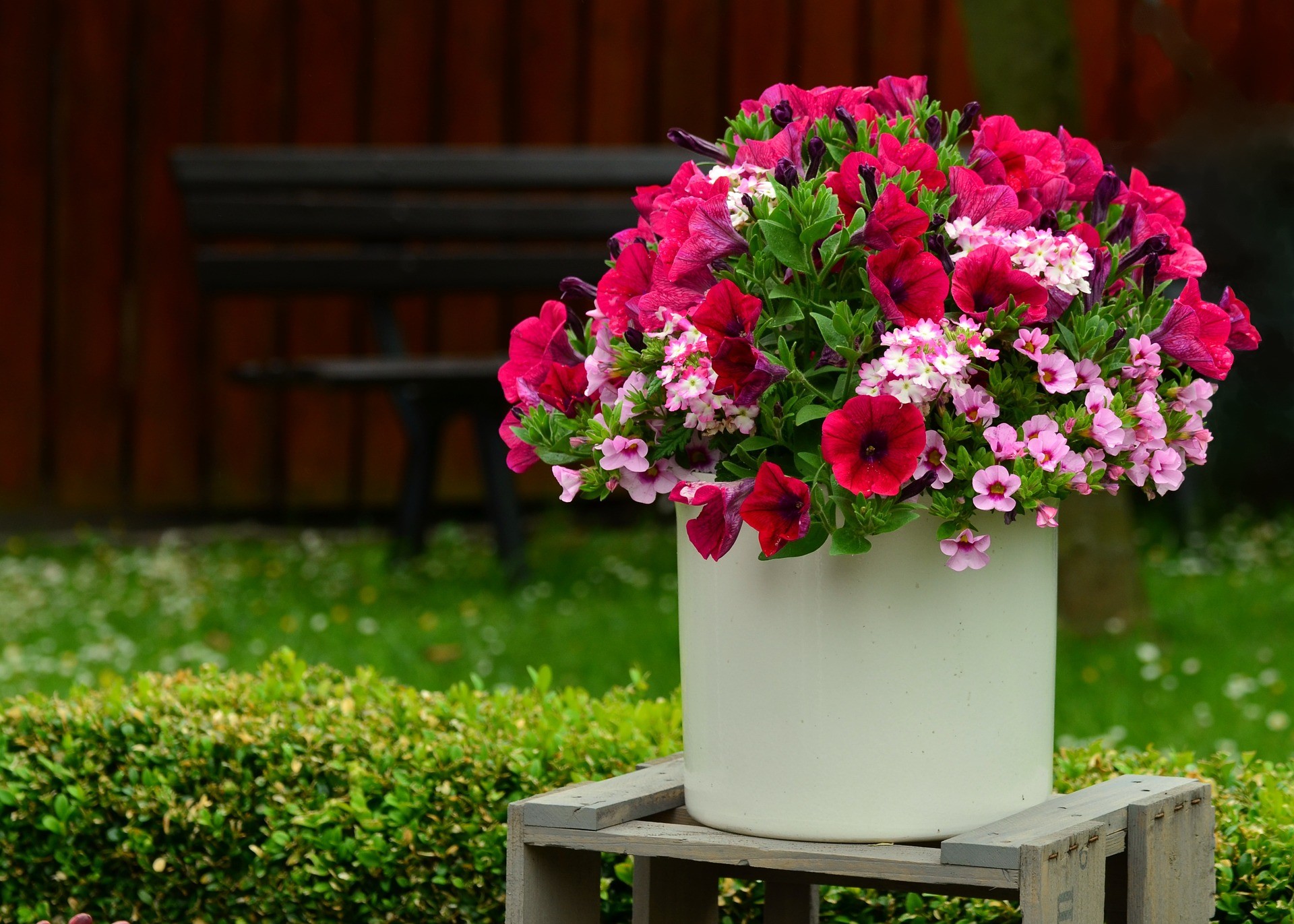 Pałeczki nawozowe do roślin kwitnących Florovit 20g