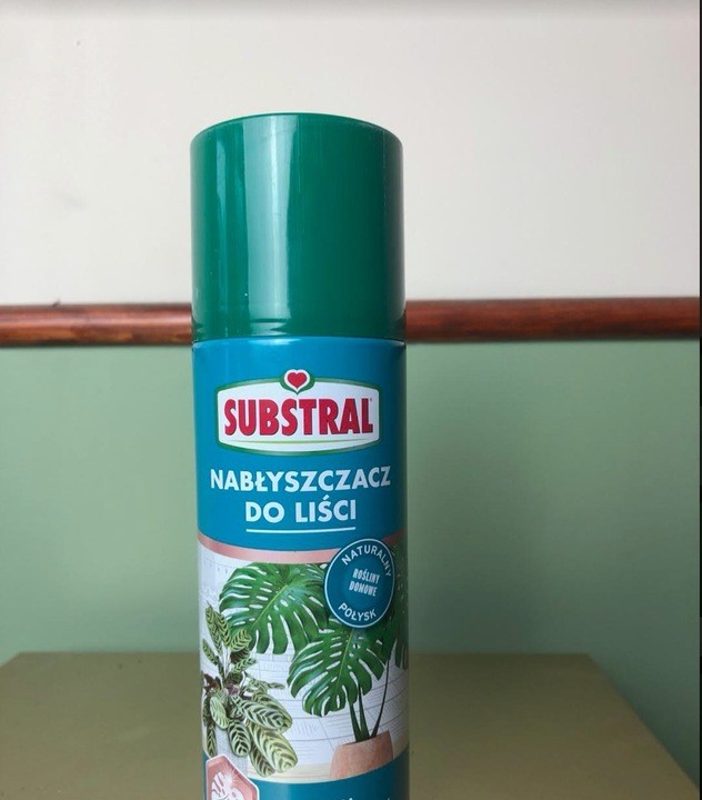Nabłyszczasz do liści w aerozolu Substral