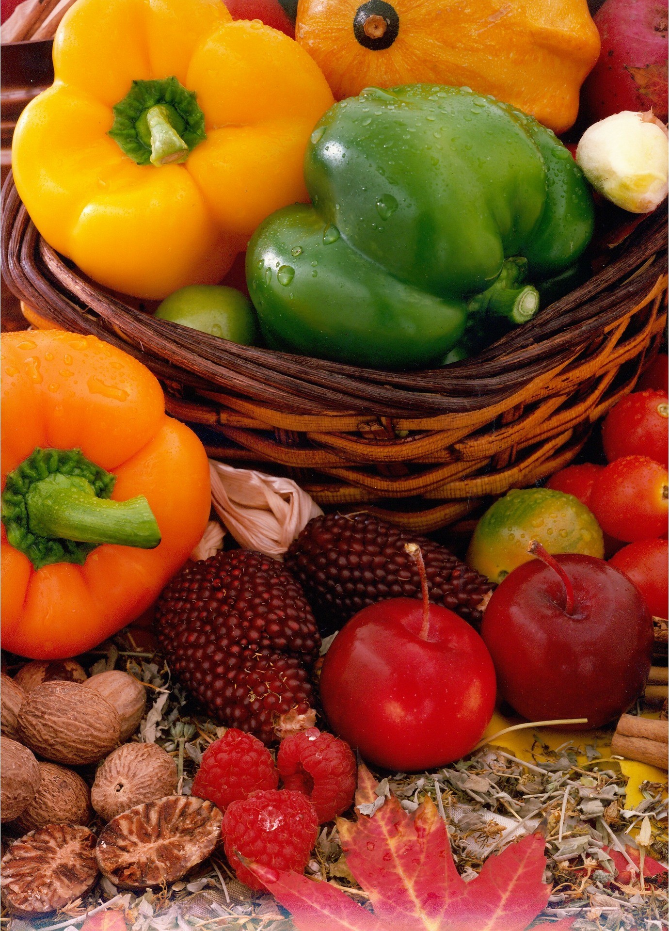 Organiczny nawóz w płynie Warzywa Owoce SUBSTRAL 1l