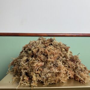 SUCHY Mech torfowiec Sphagnum 2kg