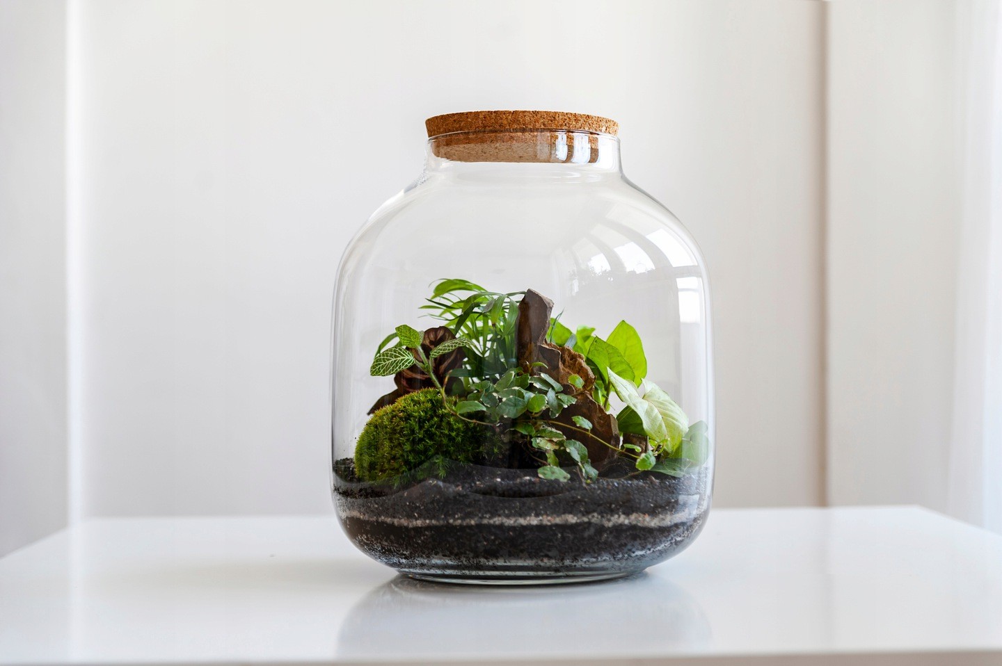 Węgiel aktywny do terrarium
