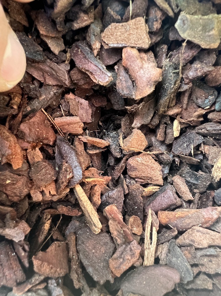 Agro Kora piniowa 5L