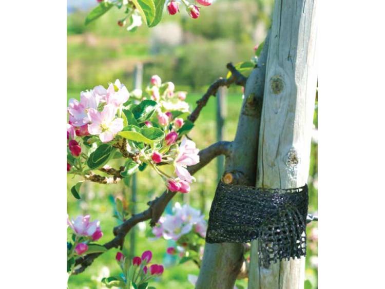 Taśma ogrodnicza do mocowania roślin 3cm x 50m