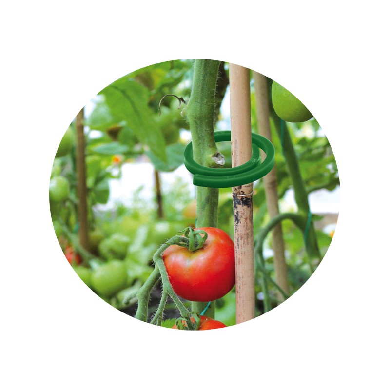 Klipsy do mocowania roślin 20 szt