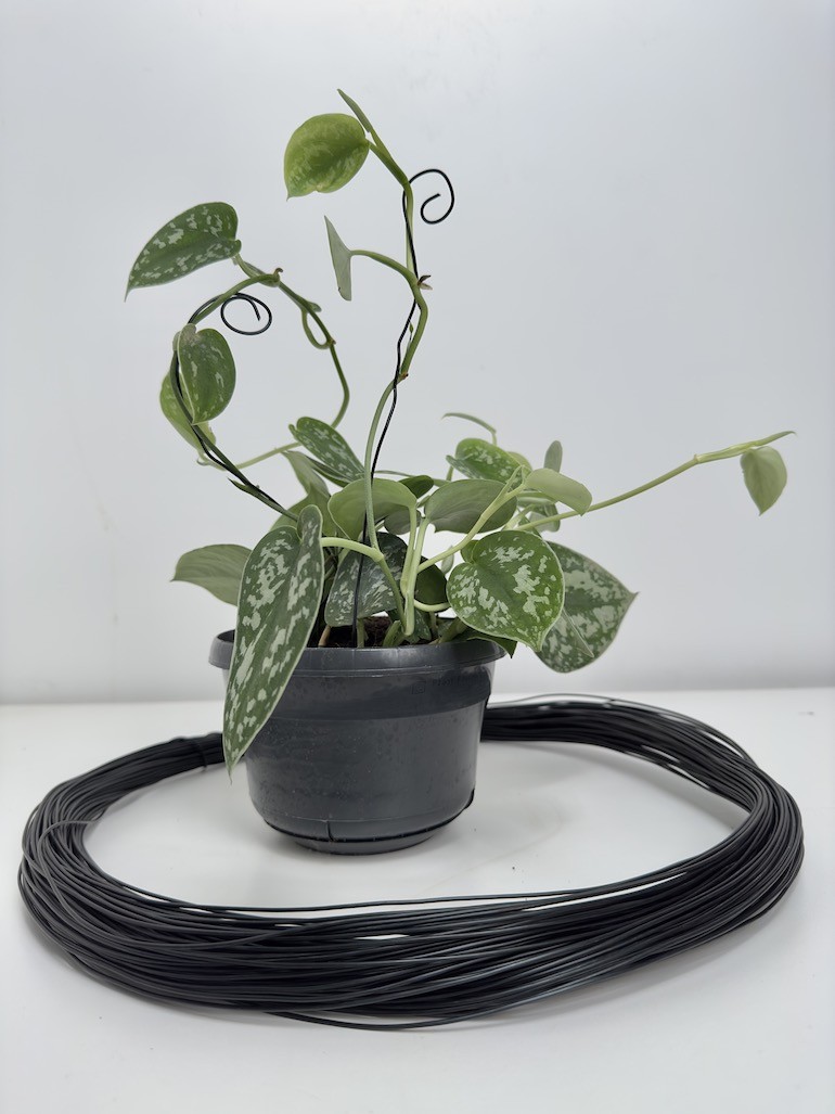 Drut do bonsai |1mm 3mb