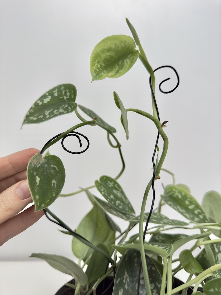 Drut do bonsai |1mm 3mb