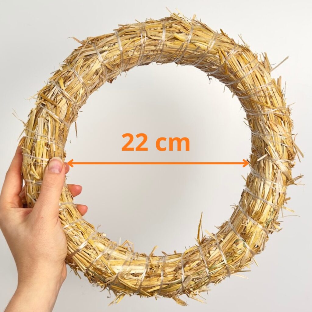 Wieniec Słomiany | 22 cm | 10 sztuk
