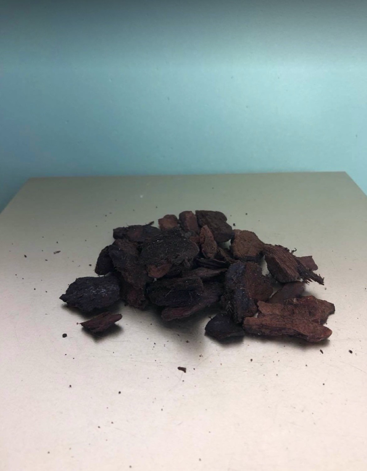 Podłoże do orchidei